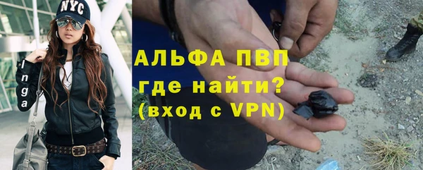 индика Армянск