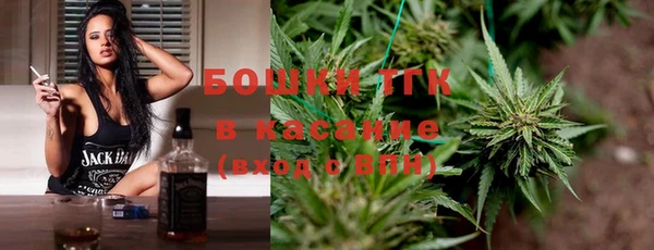 индика Армянск