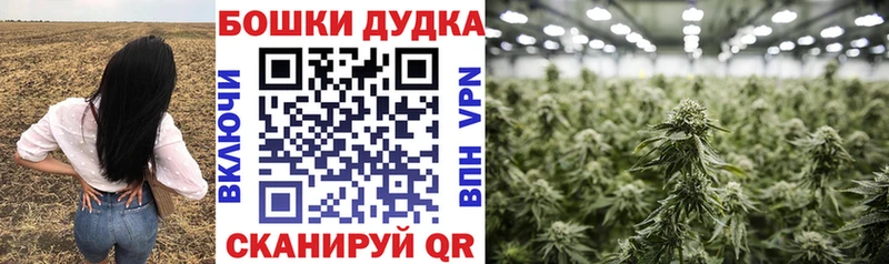Марихуана гибрид  Лобня 